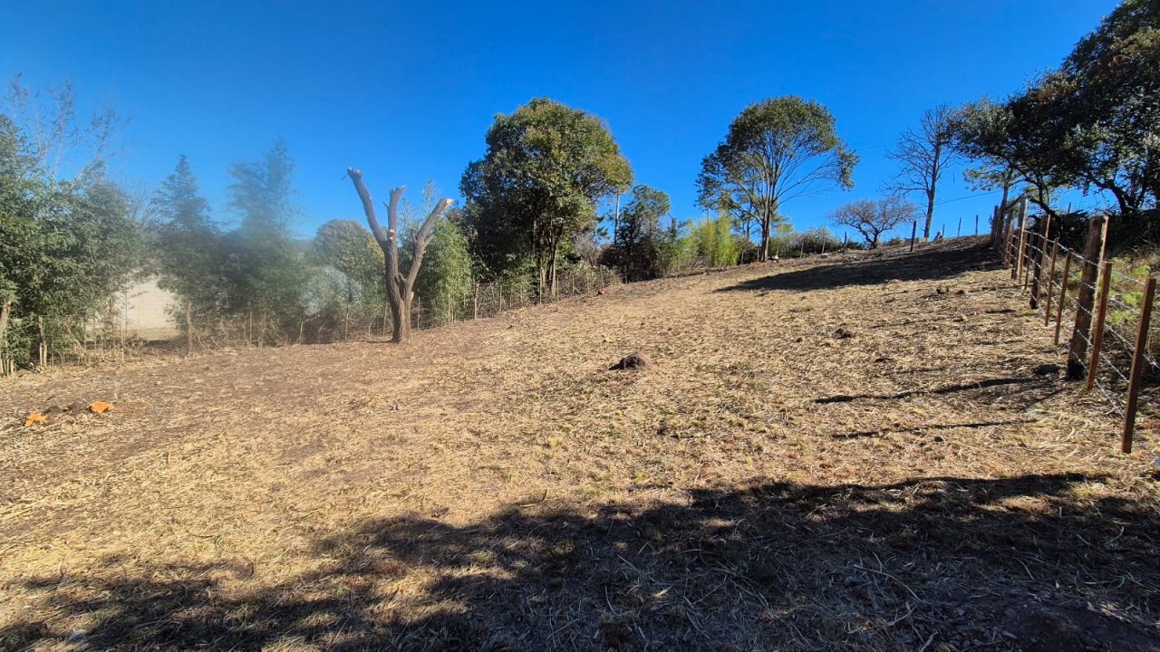 WhatsApp Image 2025-08-26 at 11.37.59.jpeg